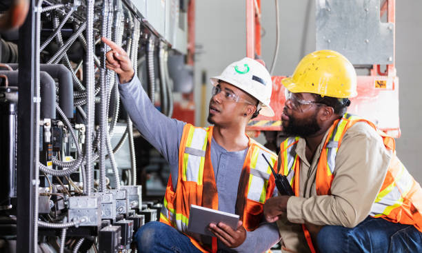 Best Affordable Electrician  in Mount Dora, FL