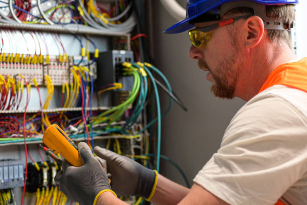 Best Electric Panel Repair  in Mount Dora, FL